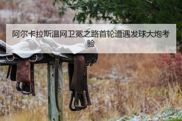 a-er-ka-la-si-wen-wang-wei-mian-zhi-lu-shou-lun-zao-yu-fa-qiu-da-pao-kao-yan-2-396.jpg